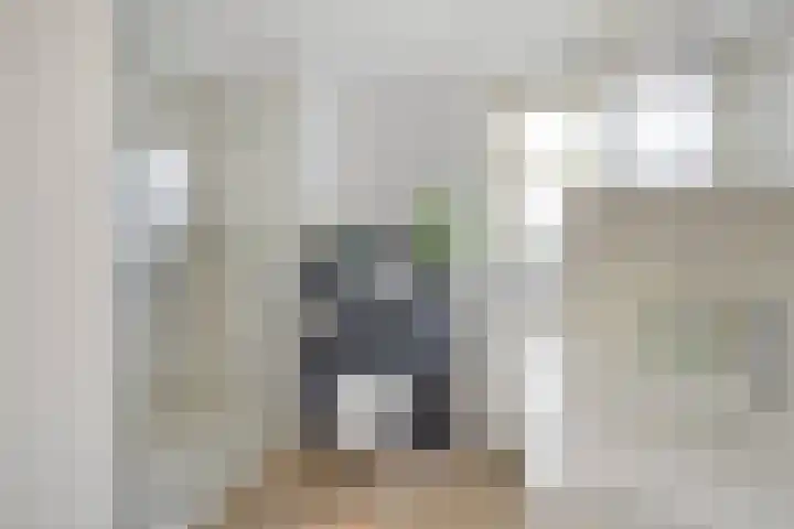 Ir.Lelylaan 56 Wolvega thumbnail 19