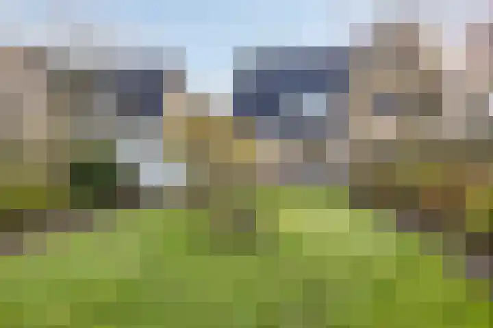 Ir.Lelylaan 56 Wolvega thumbnail 23