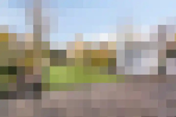 Ir.Lelylaan 56 Wolvega thumbnail 24