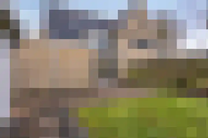 Ir.Lelylaan 56 Wolvega thumbnail 25