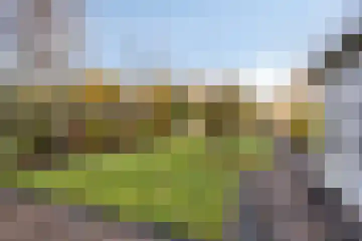 Ir.Lelylaan 56 Wolvega thumbnail 26