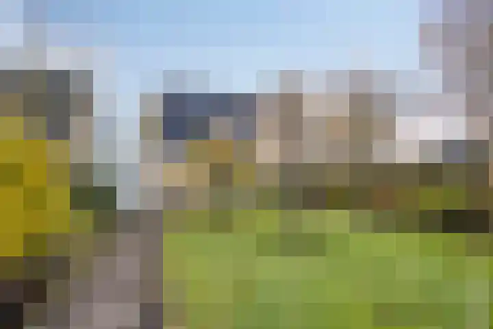 Ir.Lelylaan 56 Wolvega thumbnail 27