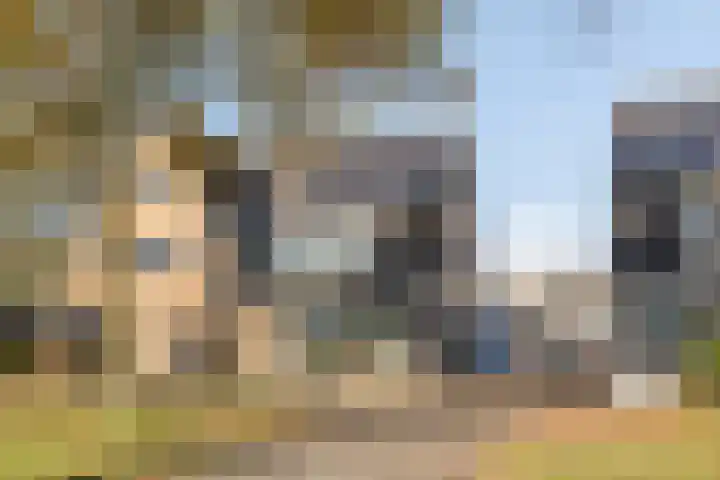 Ir.Lelylaan 56 Wolvega thumbnail 29