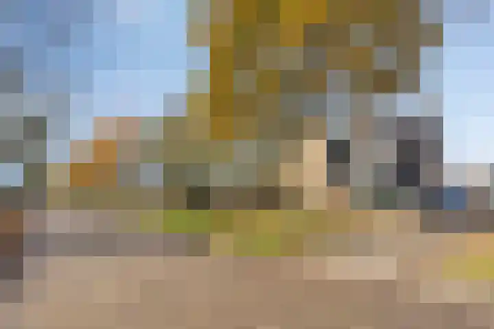Ir.Lelylaan 56 Wolvega thumbnail 30