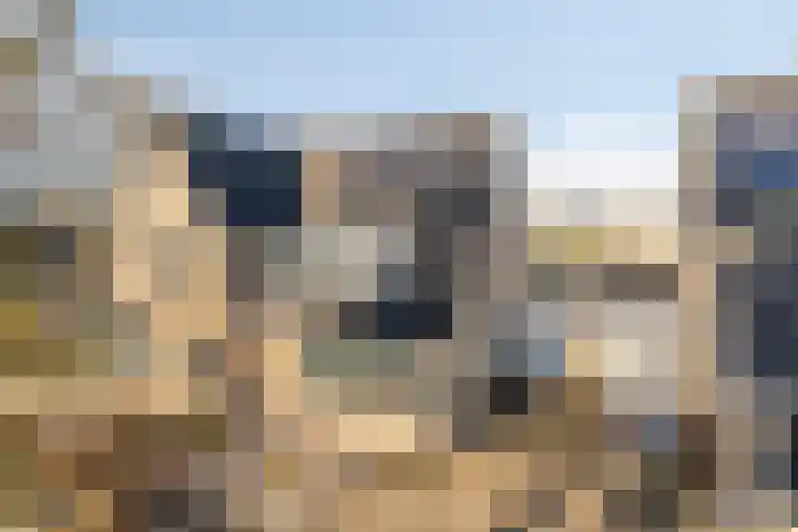 Ir.Lelylaan 56 Wolvega thumbnail 31