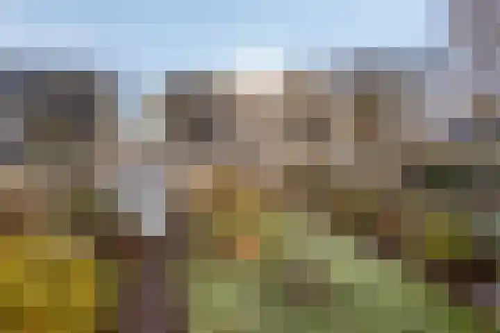 Ir.Lelylaan 56 Wolvega thumbnail 32