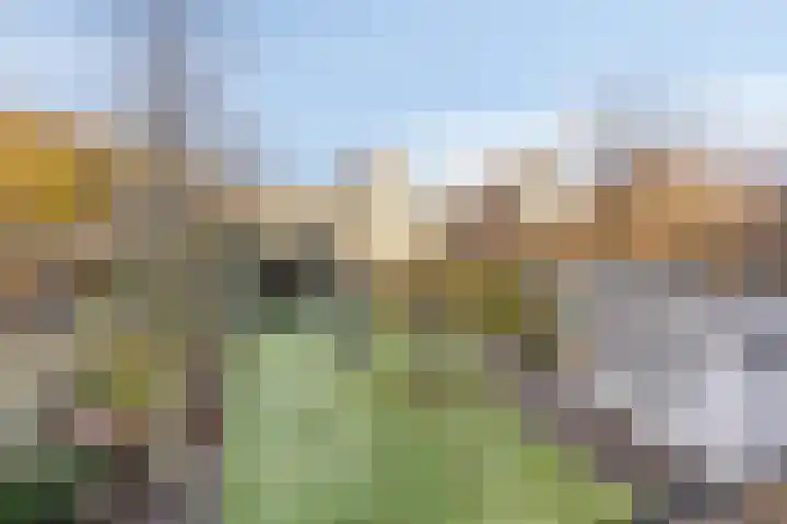 Ir.Lelylaan 56 Wolvega thumbnail 33