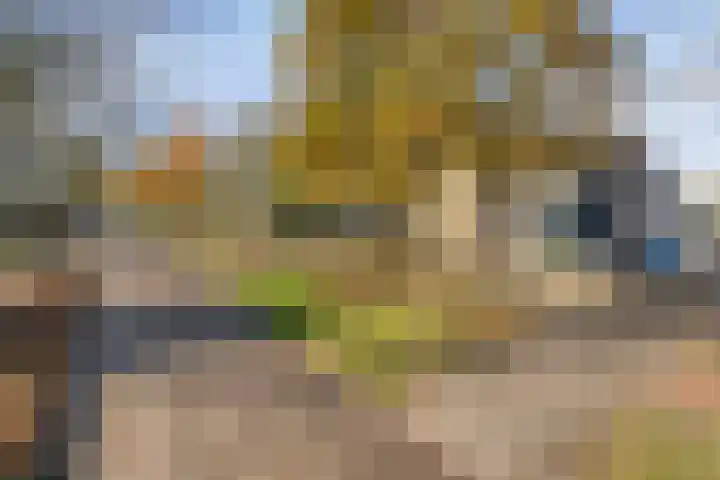 Ir.Lelylaan 56 Wolvega thumbnail 34