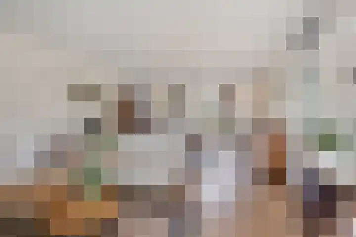 Ir.Lelylaan 56 Wolvega thumbnail 5