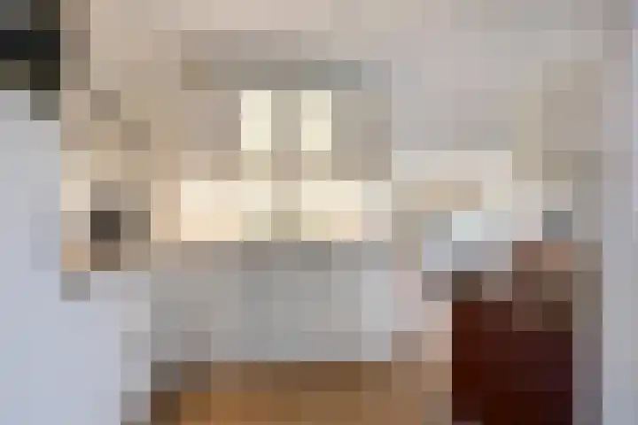 Ir.Lelylaan 56 Wolvega thumbnail 8