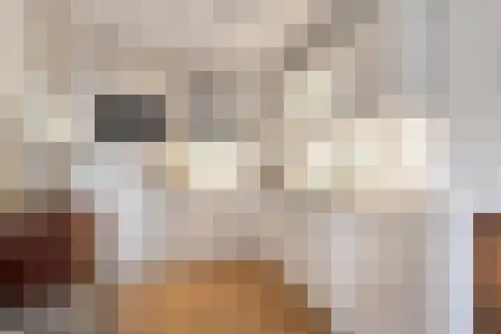 Ir.Lelylaan 56 Wolvega thumbnail 9
