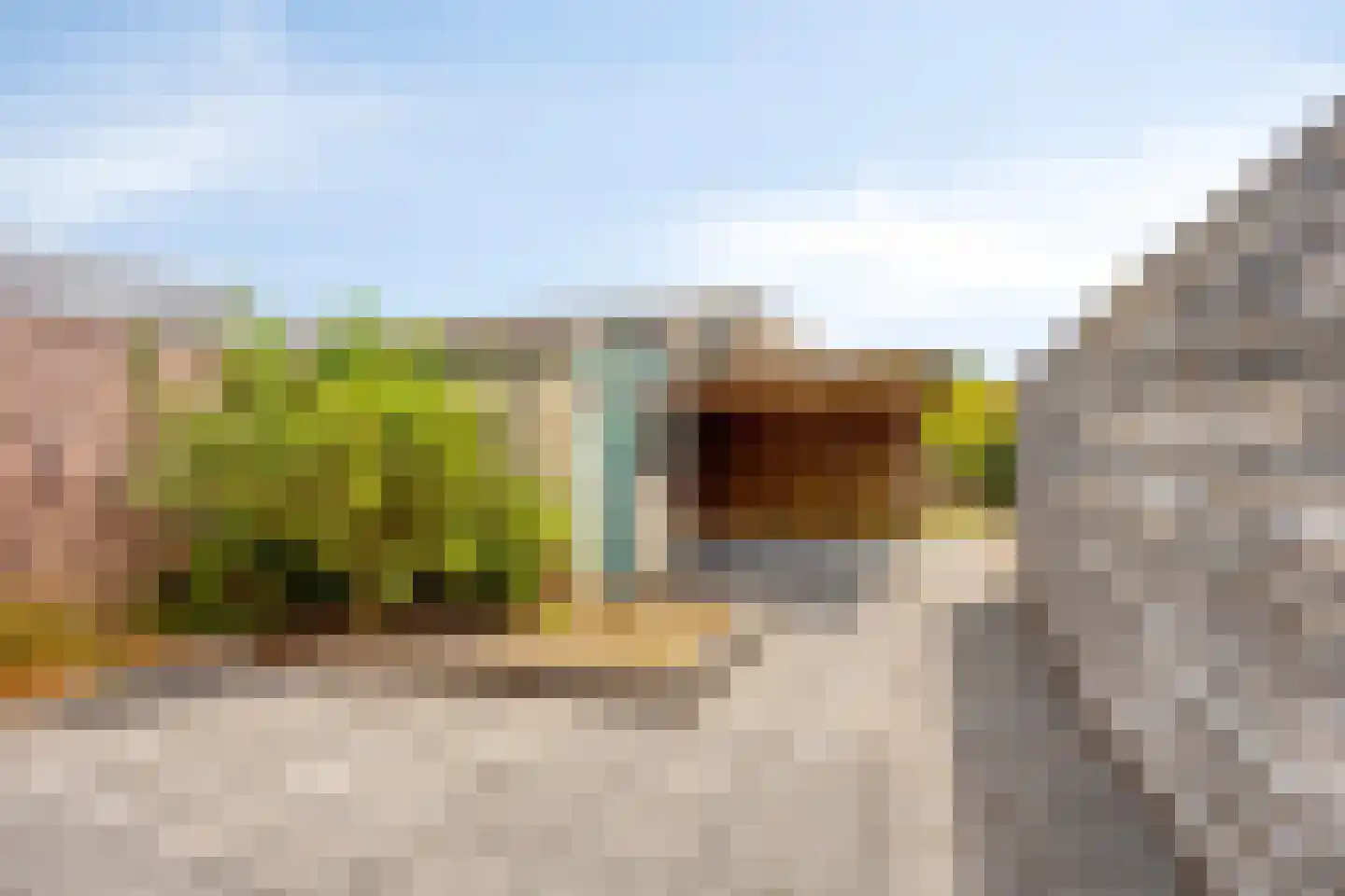 Ir.Lelylaan 63 Wolvega thumbnail 19