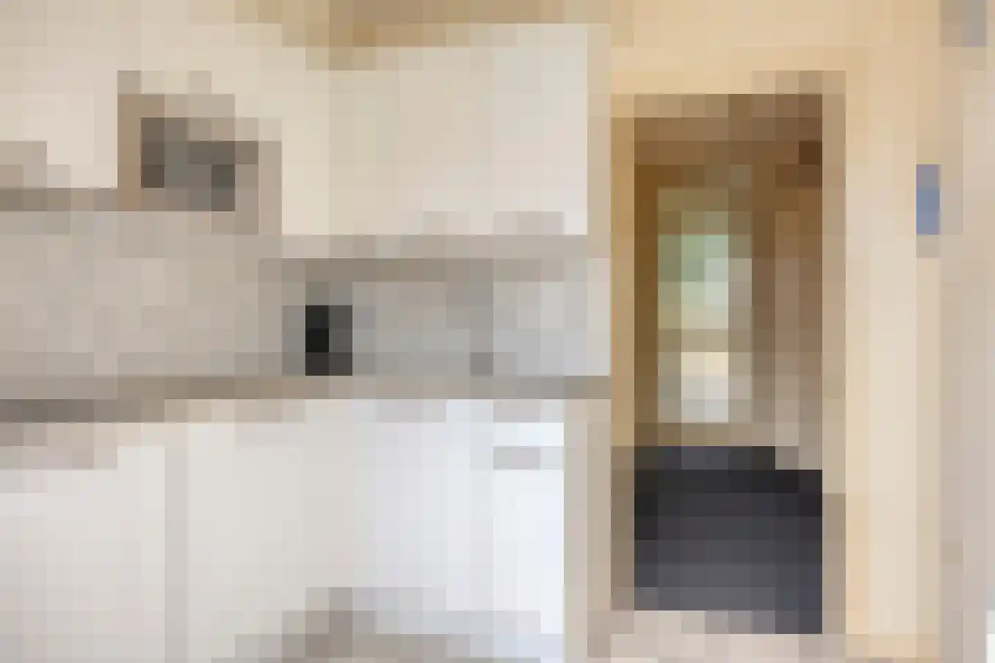 Ir.Lelylaan 63 Wolvega thumbnail 6