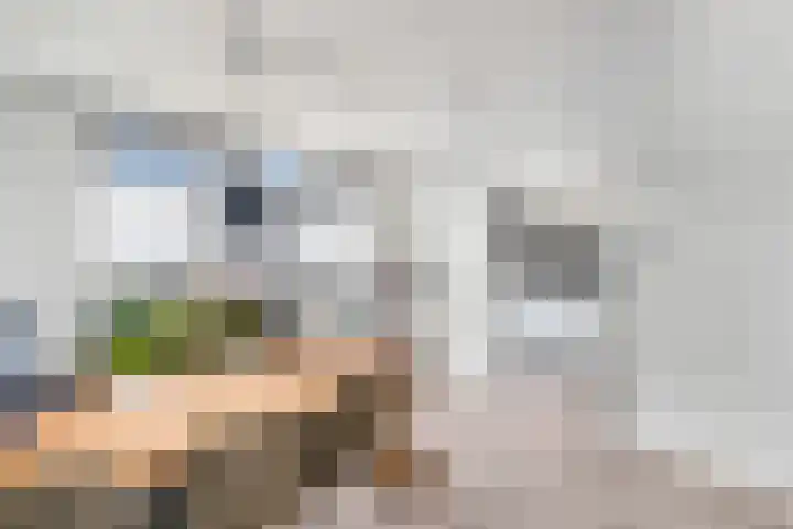 Ir.Lelylaan 97 Wolvega thumbnail 10