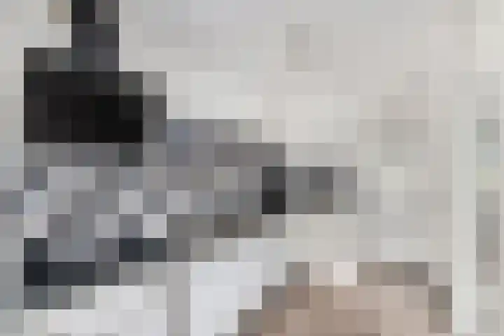 Ir.Lelylaan 97 Wolvega thumbnail 11