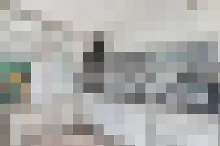 Ir.Lelylaan 97 Wolvega thumbnail 12