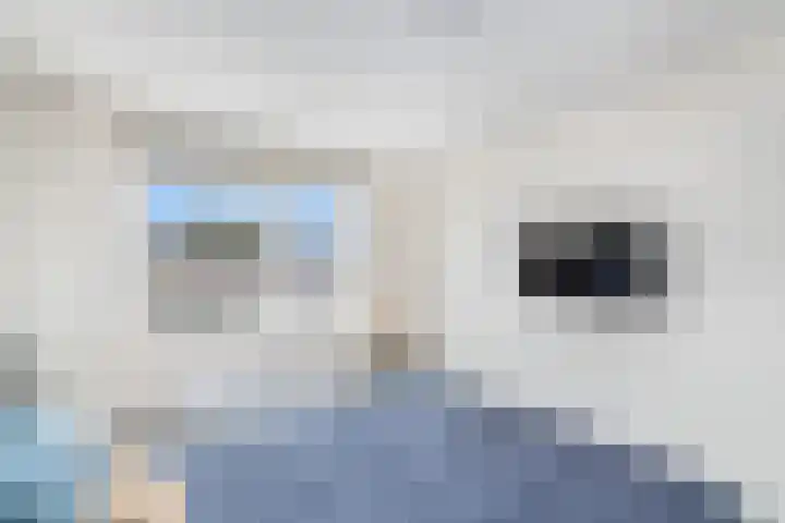Ir.Lelylaan 97 Wolvega thumbnail 18
