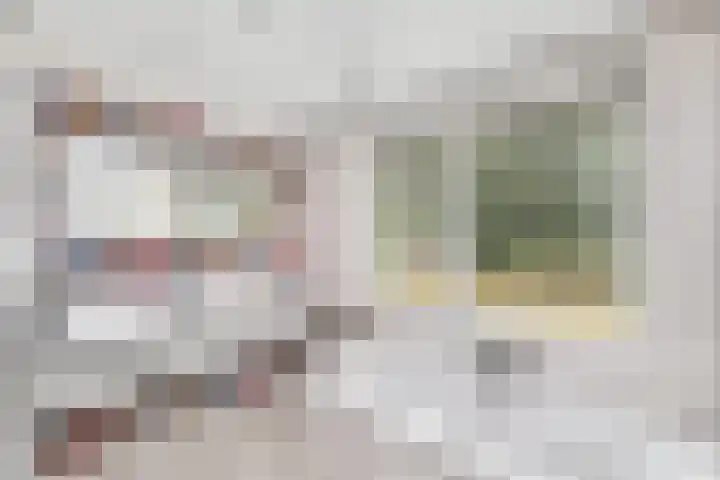 Ir.Lelylaan 97 Wolvega thumbnail 25
