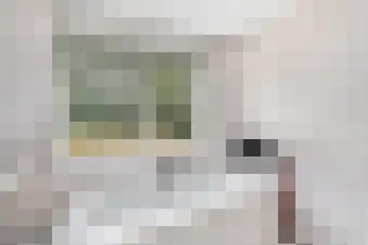 Ir.Lelylaan 97 Wolvega thumbnail 27