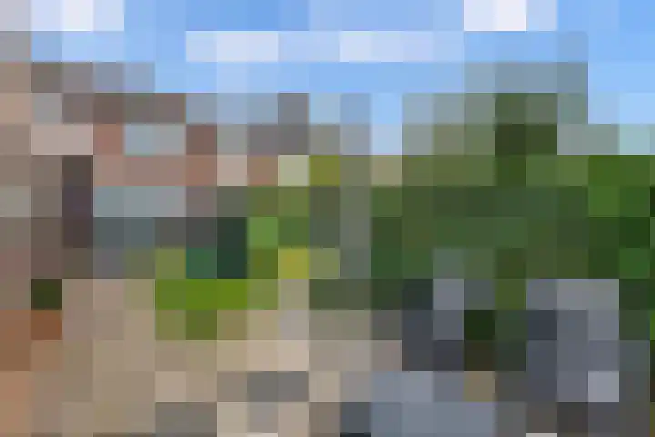 Ir.Lelylaan 97 Wolvega thumbnail 28