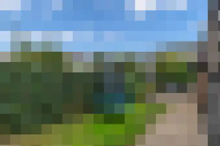 Ir.Lelylaan 97 Wolvega thumbnail 29
