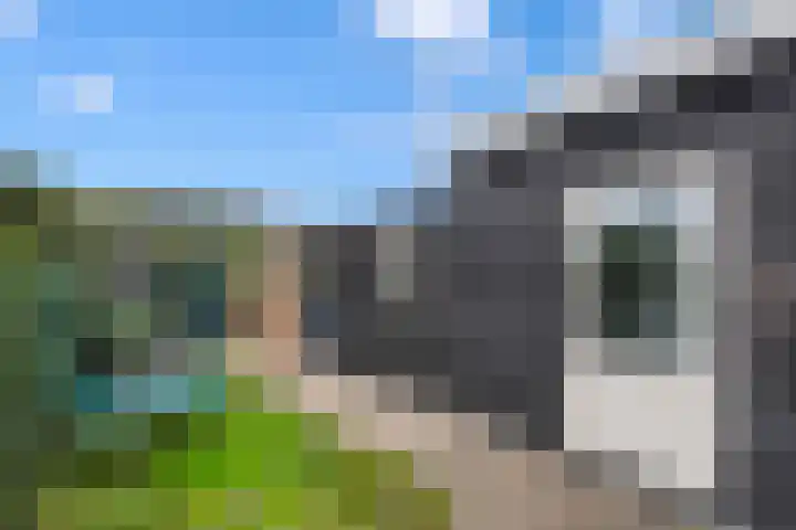 Ir.Lelylaan 97 Wolvega thumbnail 30