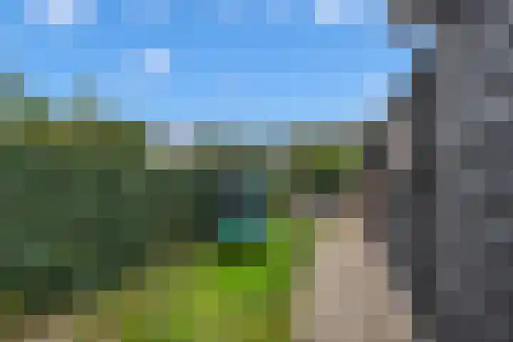 Ir.Lelylaan 97 Wolvega thumbnail 31