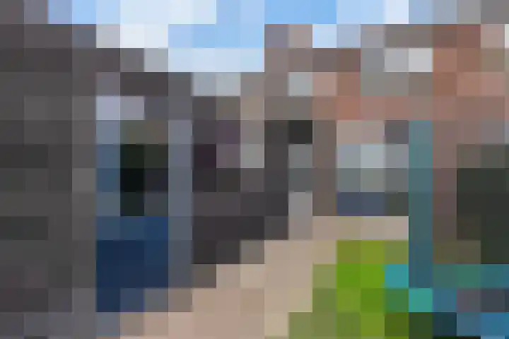 Ir.Lelylaan 97 Wolvega thumbnail 34