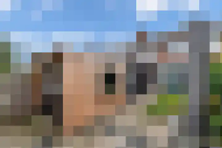 Ir.Lelylaan 97 Wolvega thumbnail 36