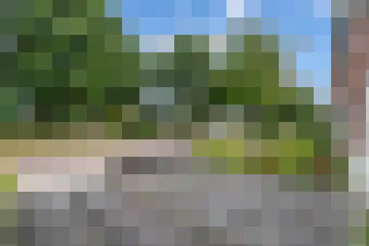 Ir.Lelylaan 97 Wolvega thumbnail 37