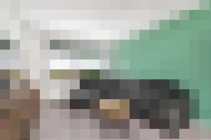 Ir.Lelylaan 97 Wolvega thumbnail 4