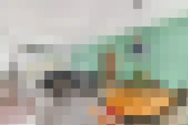 Ir.Lelylaan 97 Wolvega thumbnail 8