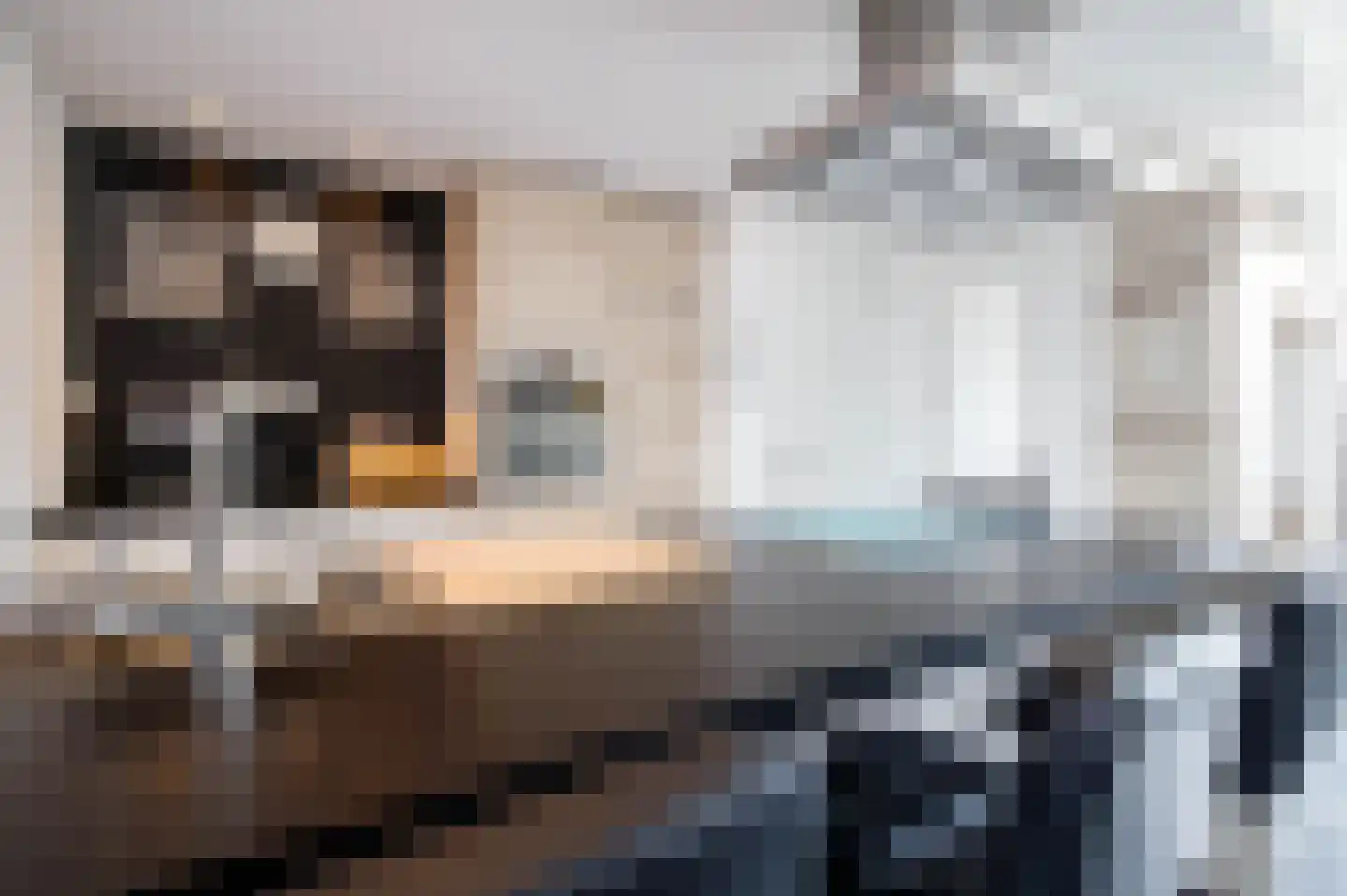 Ir Lelystraat 11 Nieuwerkerk aan den IJssel thumbnail 10