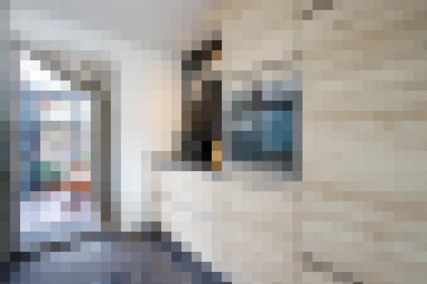 Ir Lelystraat 11 Nieuwerkerk aan den IJssel thumbnail 12