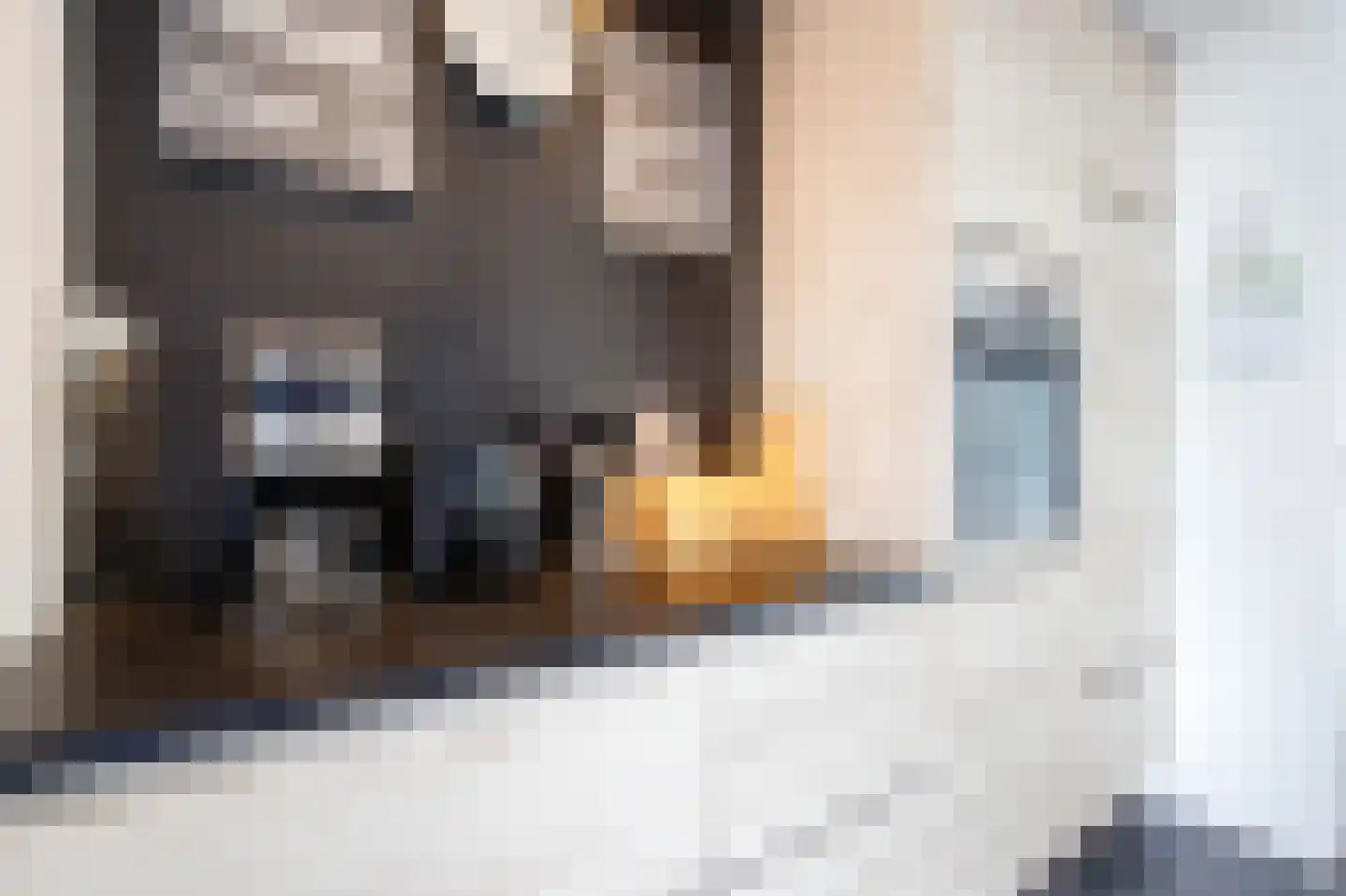 Ir Lelystraat 11 Nieuwerkerk aan den IJssel thumbnail 13