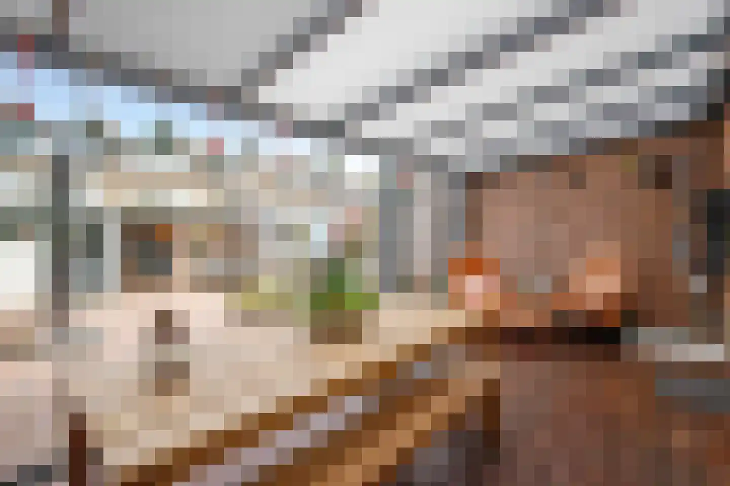 Ir Lelystraat 11 Nieuwerkerk aan den IJssel thumbnail 16