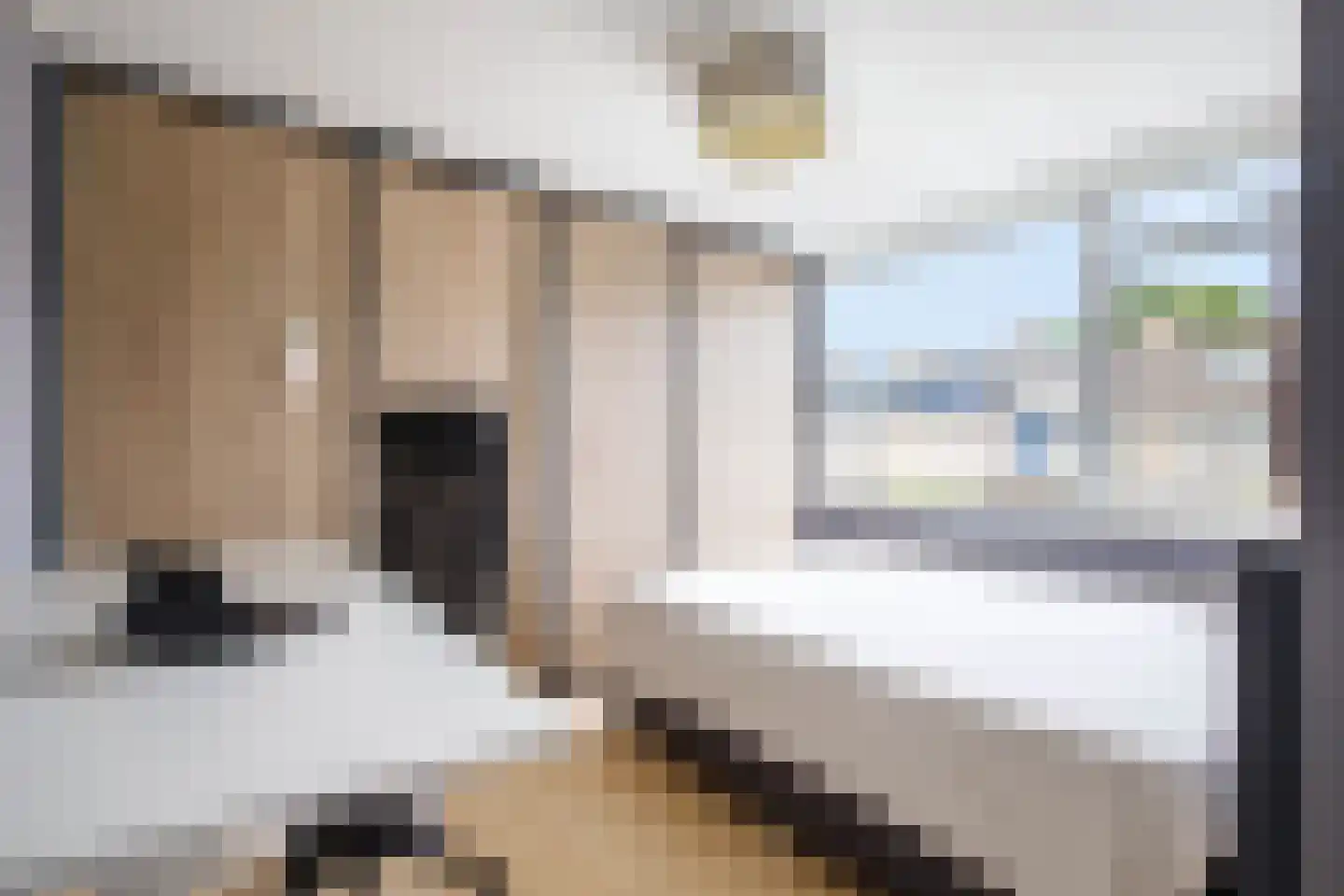 Ir Lelystraat 11 Nieuwerkerk aan den IJssel thumbnail 23
