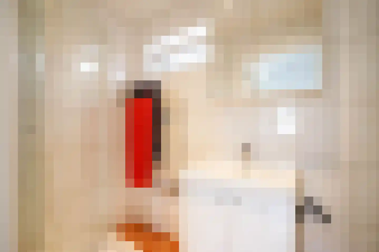 Ir Lelystraat 11 Nieuwerkerk aan den IJssel thumbnail 27