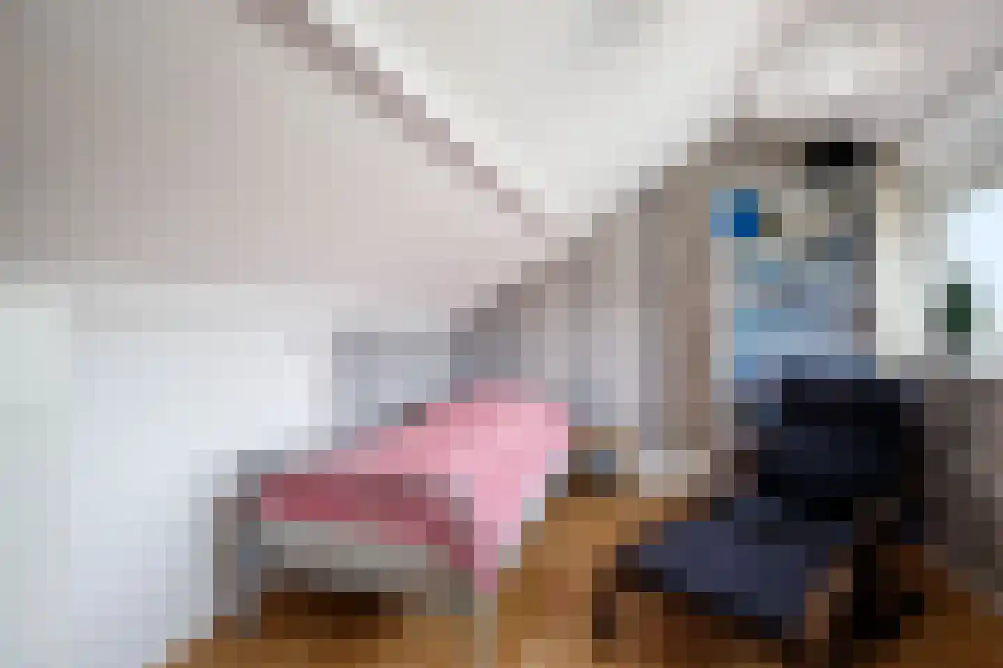 Ir Lelystraat 11 Nieuwerkerk aan den IJssel thumbnail 32