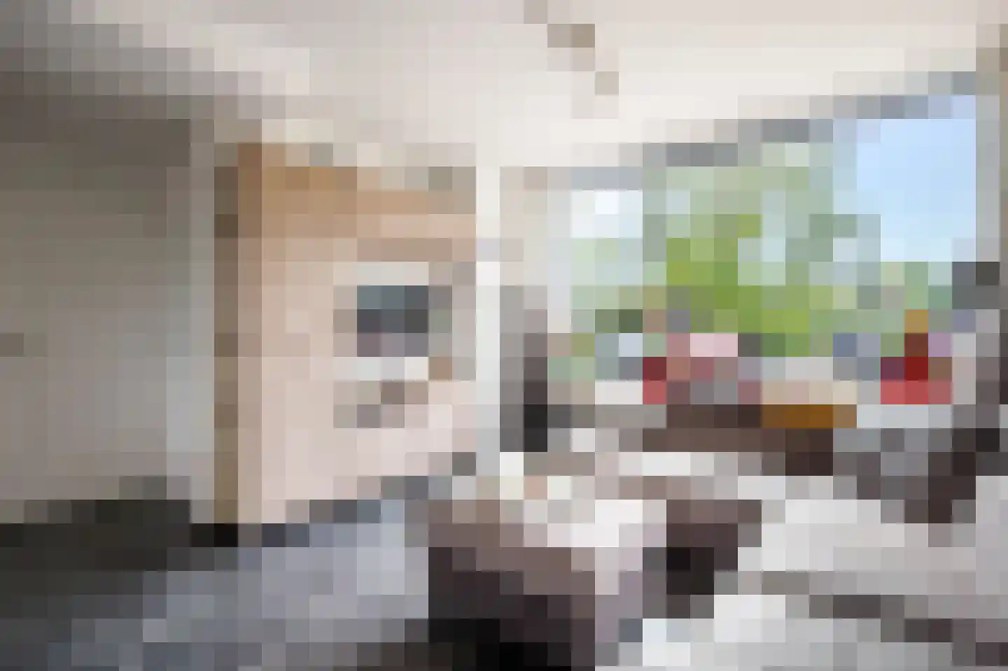 Ir Lelystraat 11 Nieuwerkerk aan den IJssel thumbnail 6