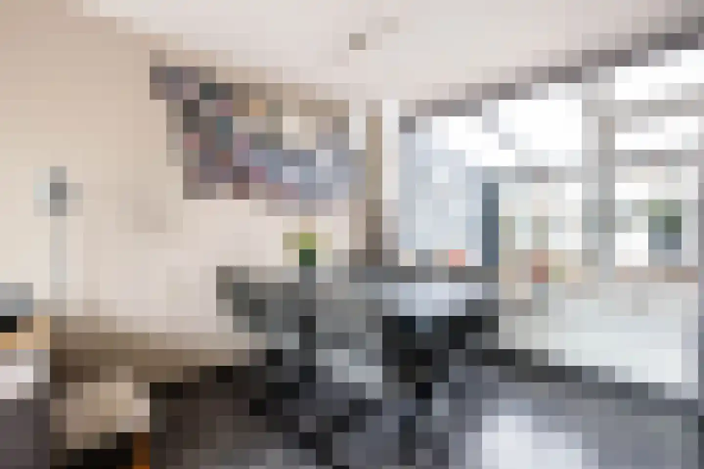 Ir Lelystraat 11 Nieuwerkerk aan den IJssel thumbnail 8