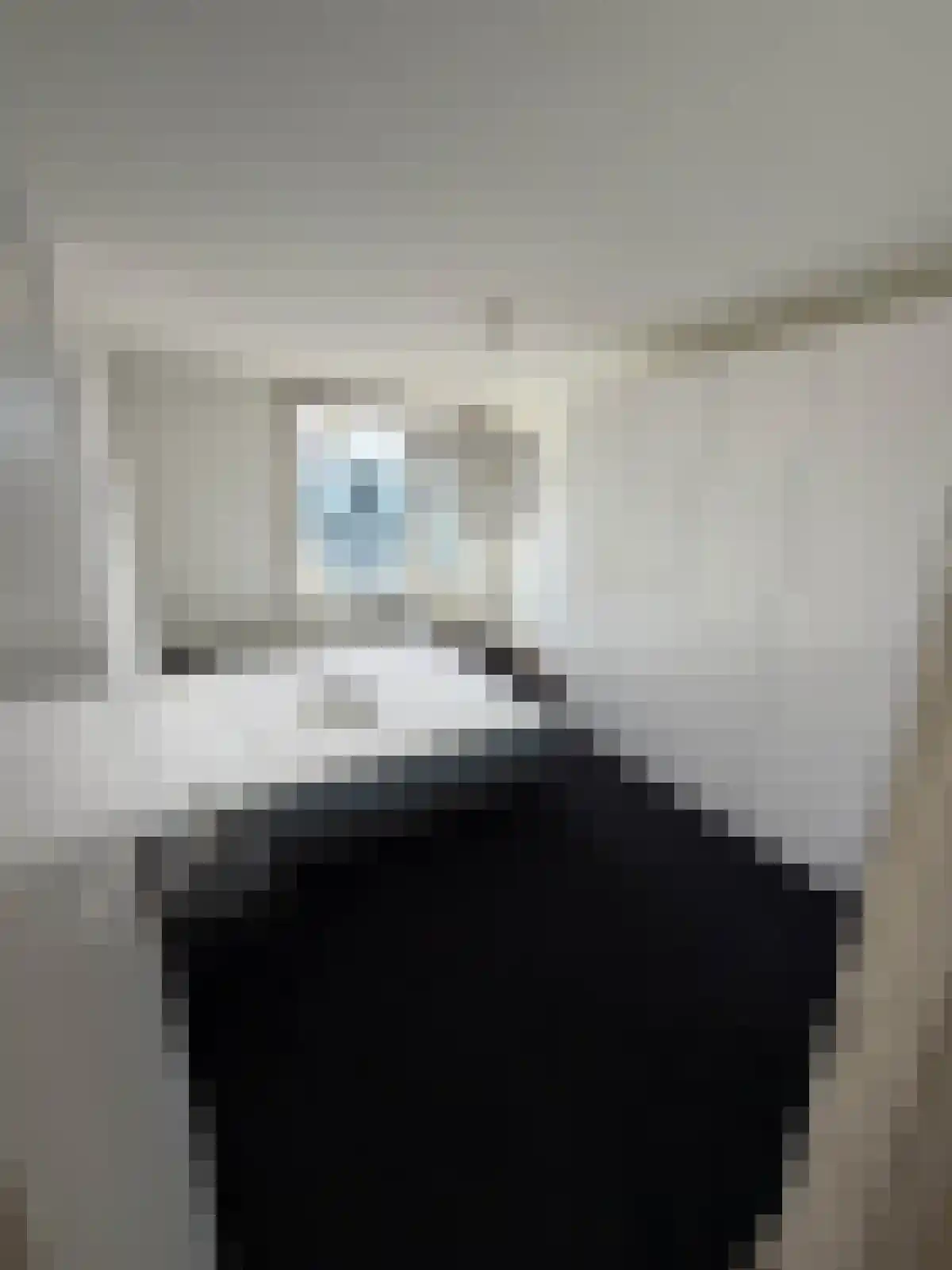 Ir. Lelystraat 132 Heerlen thumbnail 7
