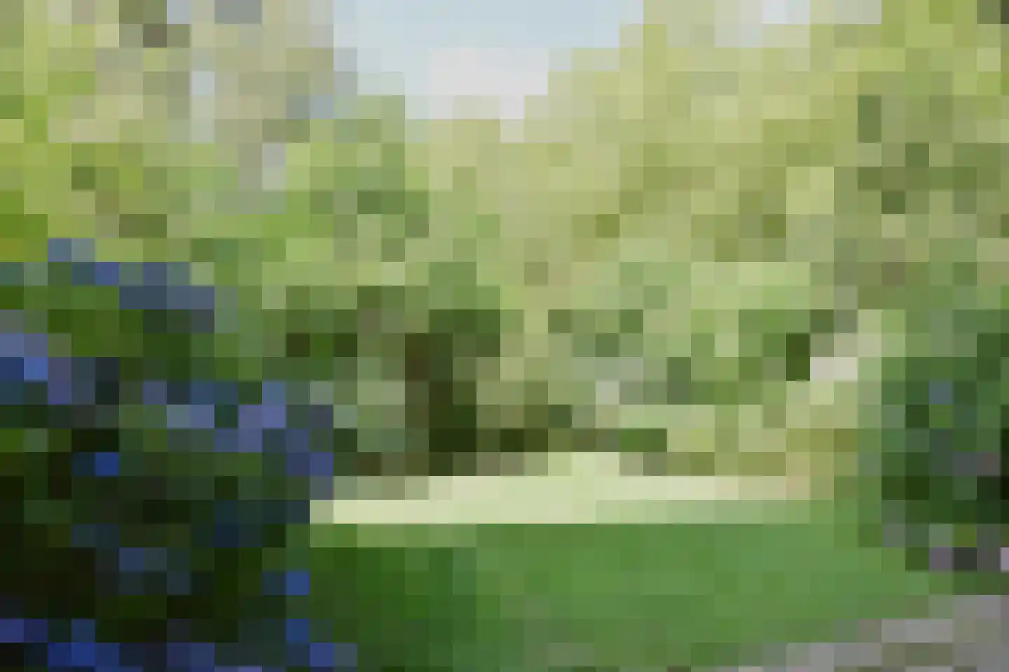Ir. Lelystraat 138 Heerlen thumbnail 13
