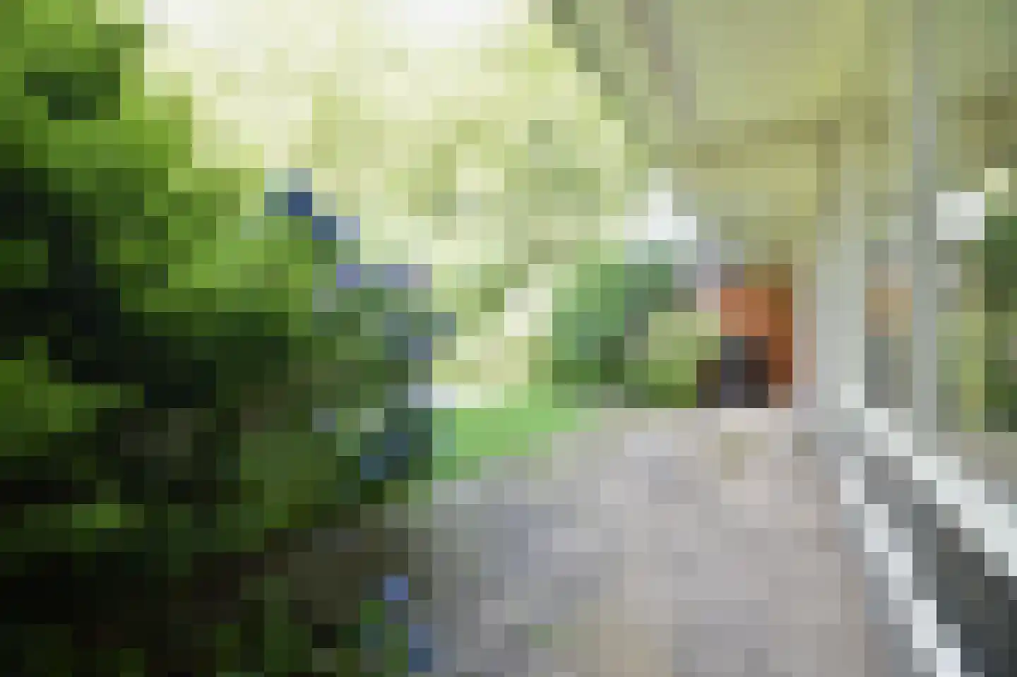 Ir. Lelystraat 138 Heerlen thumbnail 14