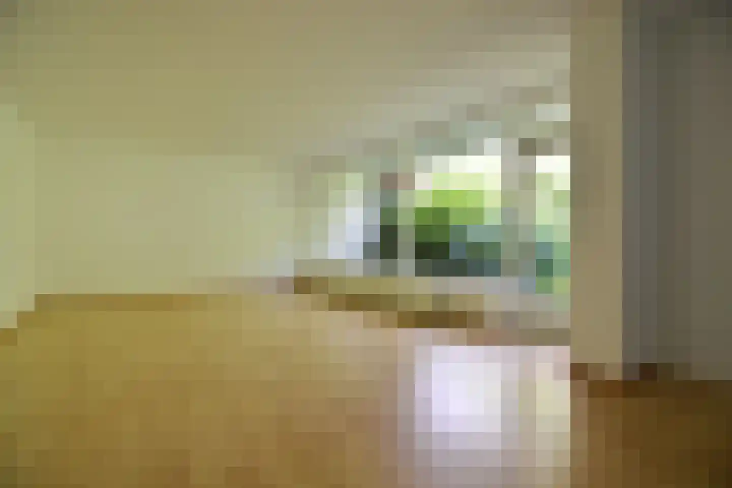 Ir. Lelystraat 138 Heerlen thumbnail 5