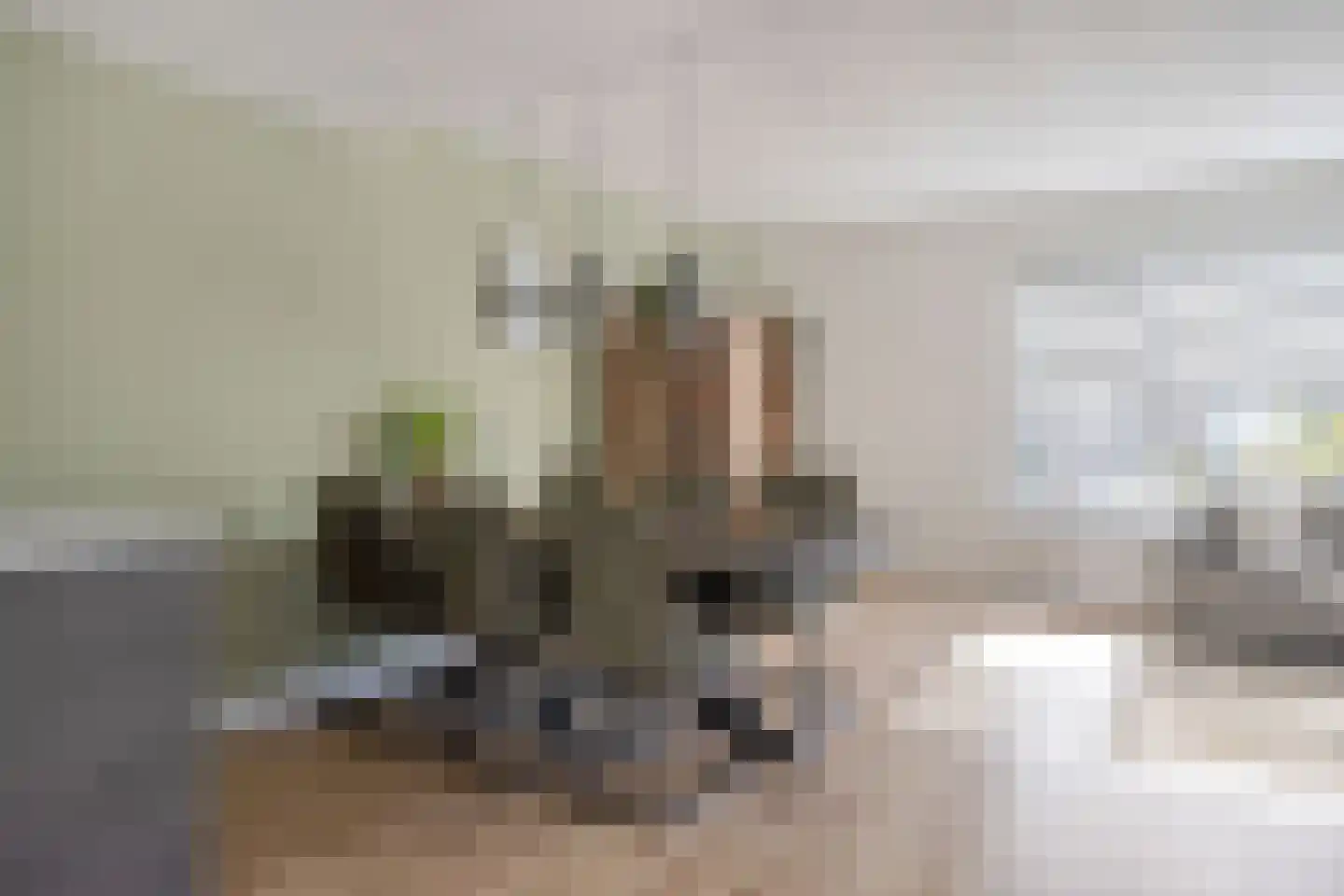 Ir Lelystraat 15 Hulst thumbnail 10