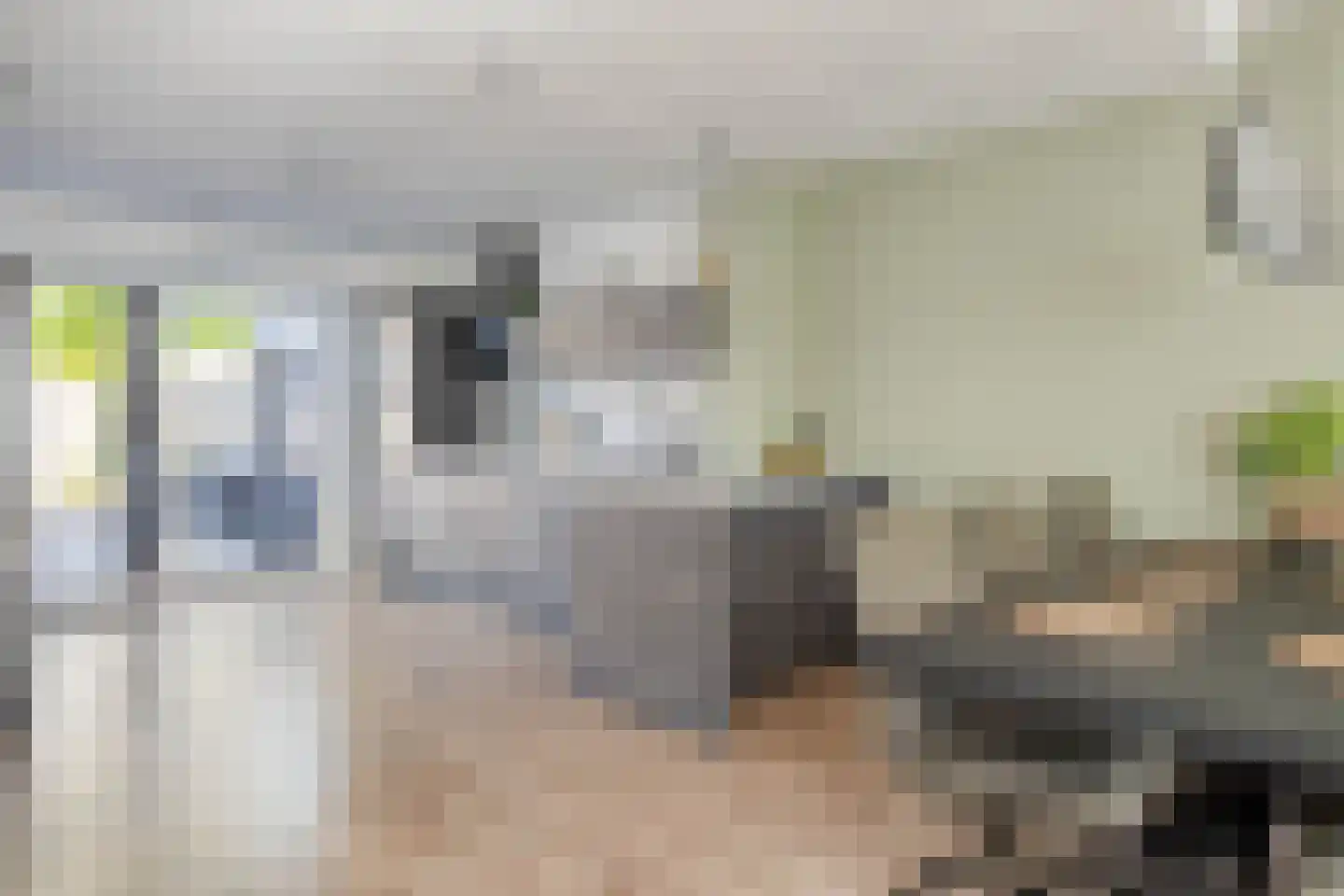 Ir Lelystraat 15 Hulst thumbnail 11
