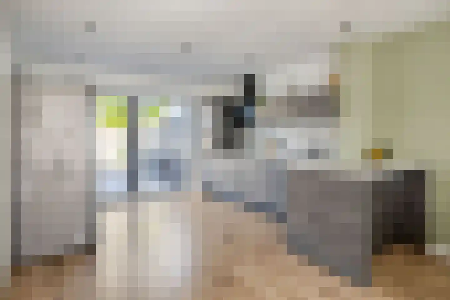Ir Lelystraat 15 Hulst thumbnail 12