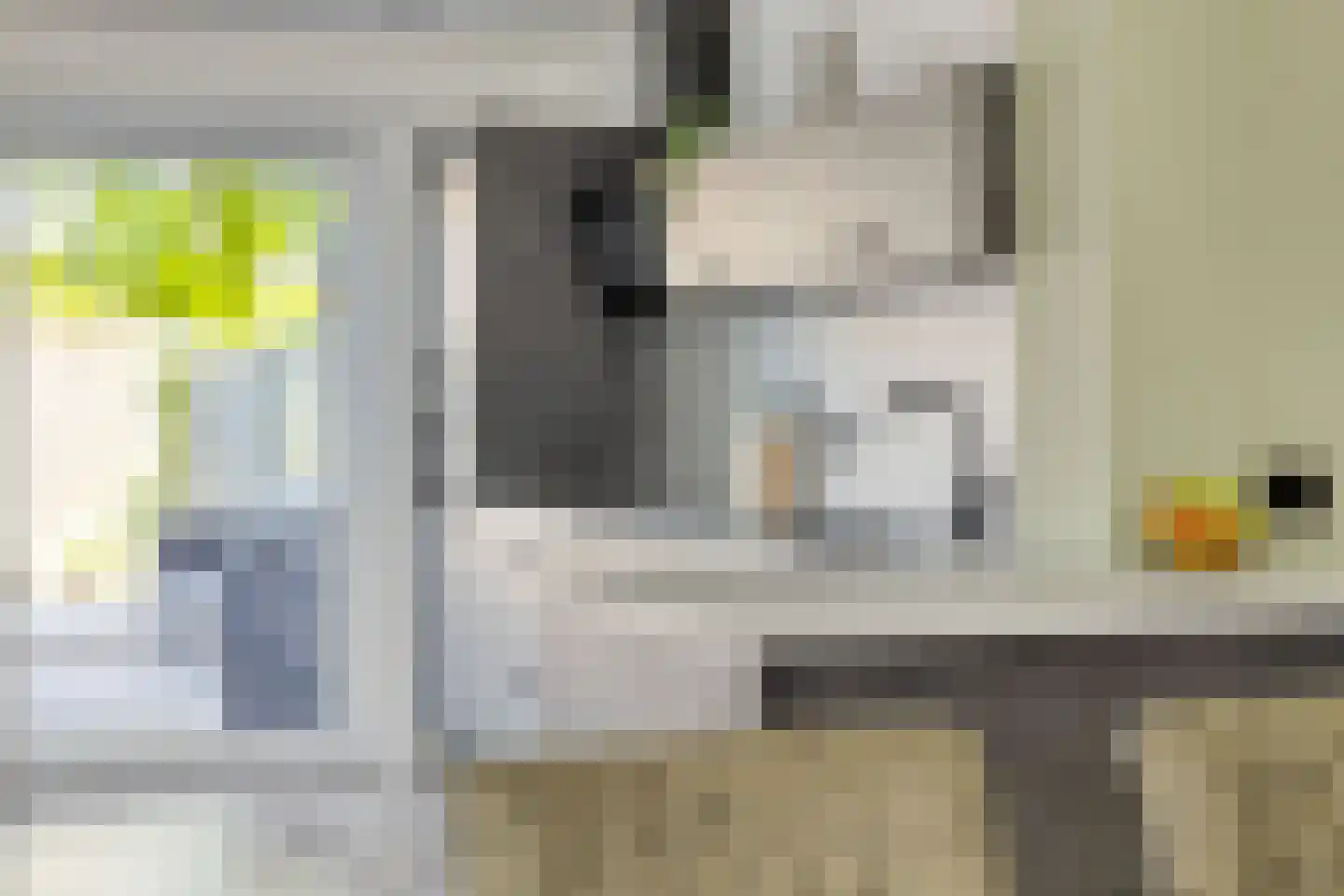 Ir Lelystraat 15 Hulst thumbnail 13