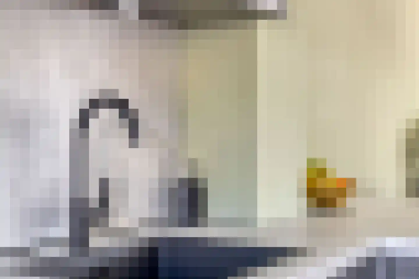 Ir Lelystraat 15 Hulst thumbnail 15